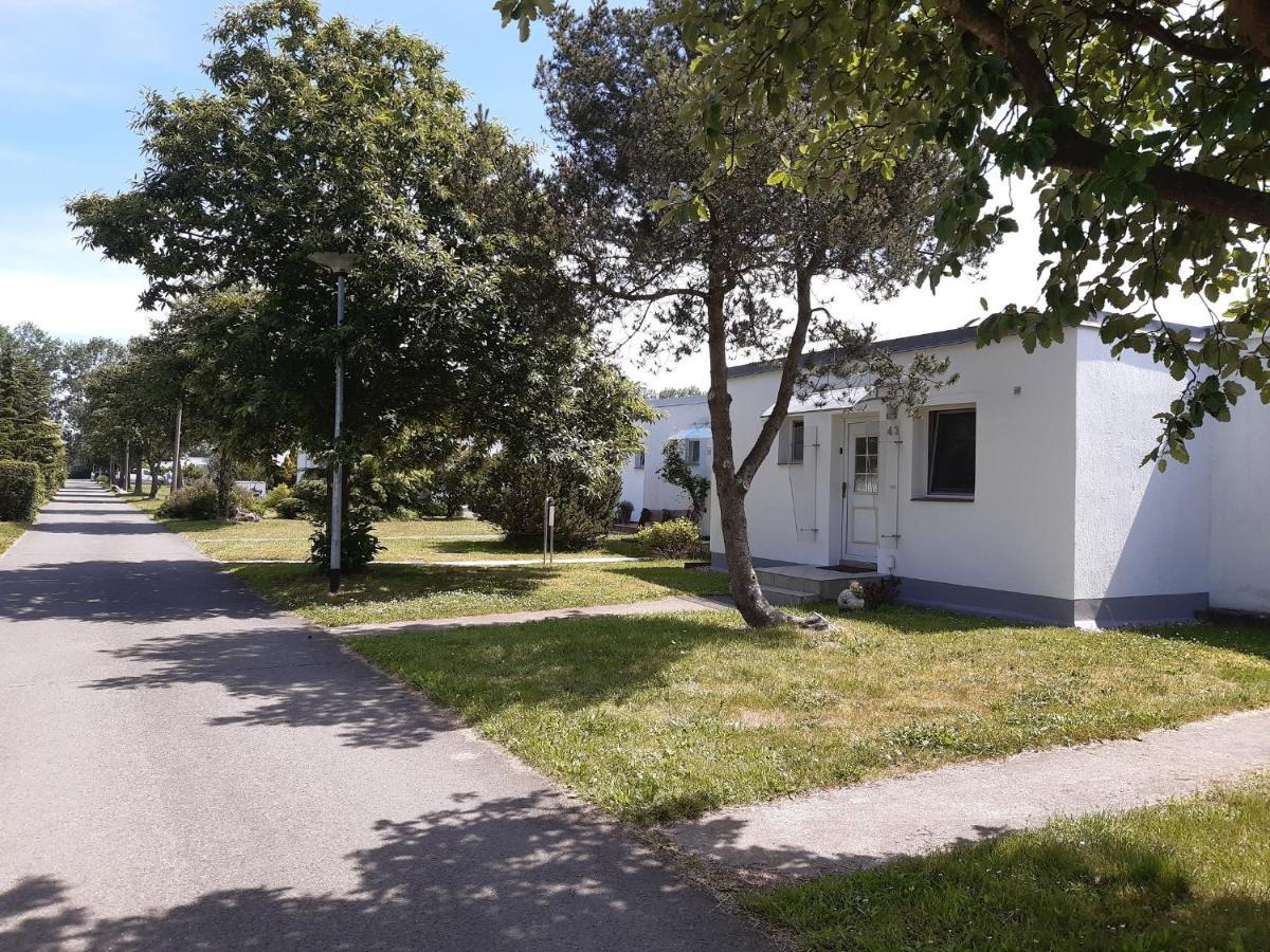 Ferienhaeuschen Kuestenwald Bei Warnemuende, Eigener Garten, Terrasse Mit Strandkorb, 400M Zum Strand Diedrichshagen  Exterior foto