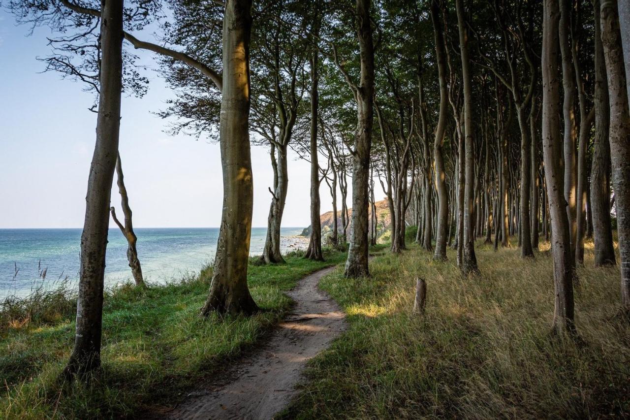 Ferienhaeuschen Kuestenwald Bei Warnemuende, Eigener Garten, Terrasse Mit Strandkorb, 400M Zum Strand Diedrichshagen  Exterior foto